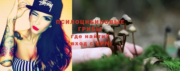 соль ск Алексин